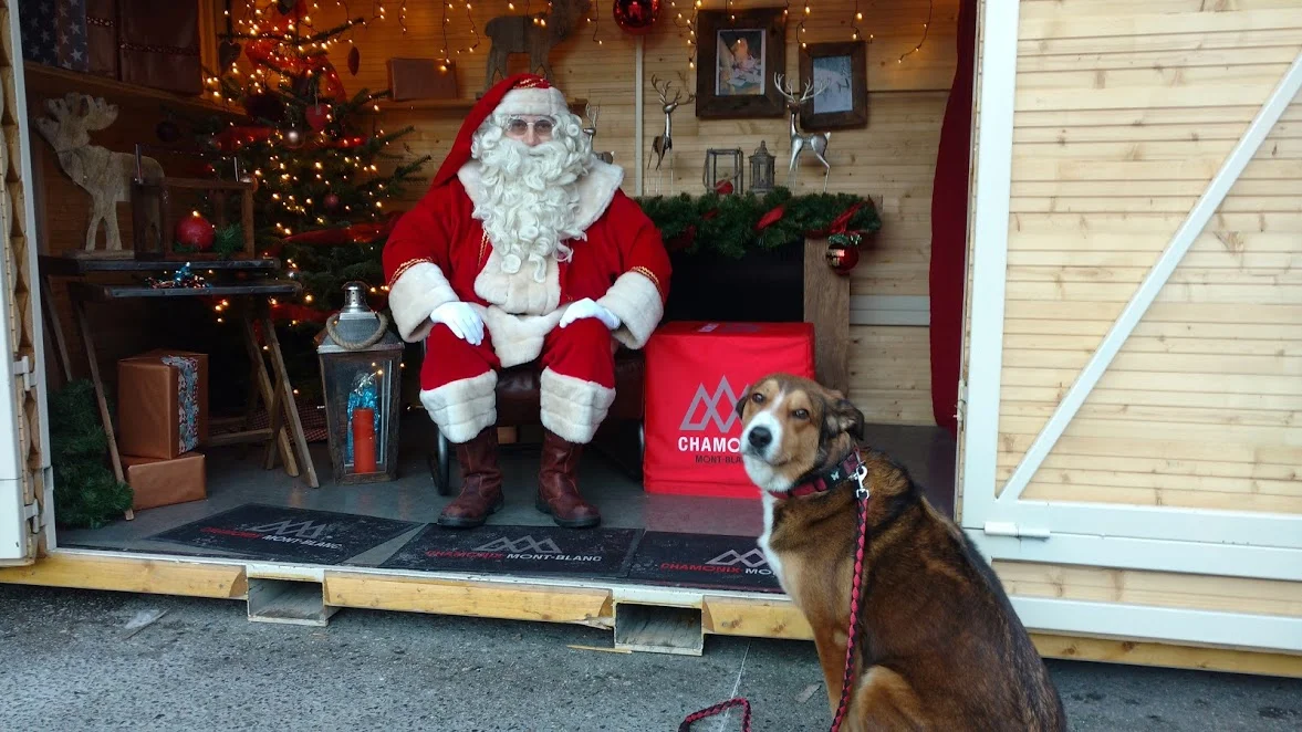 Le Père Noël dans son chalet au marché de Noël de Chamonix, avec un chien assis devant