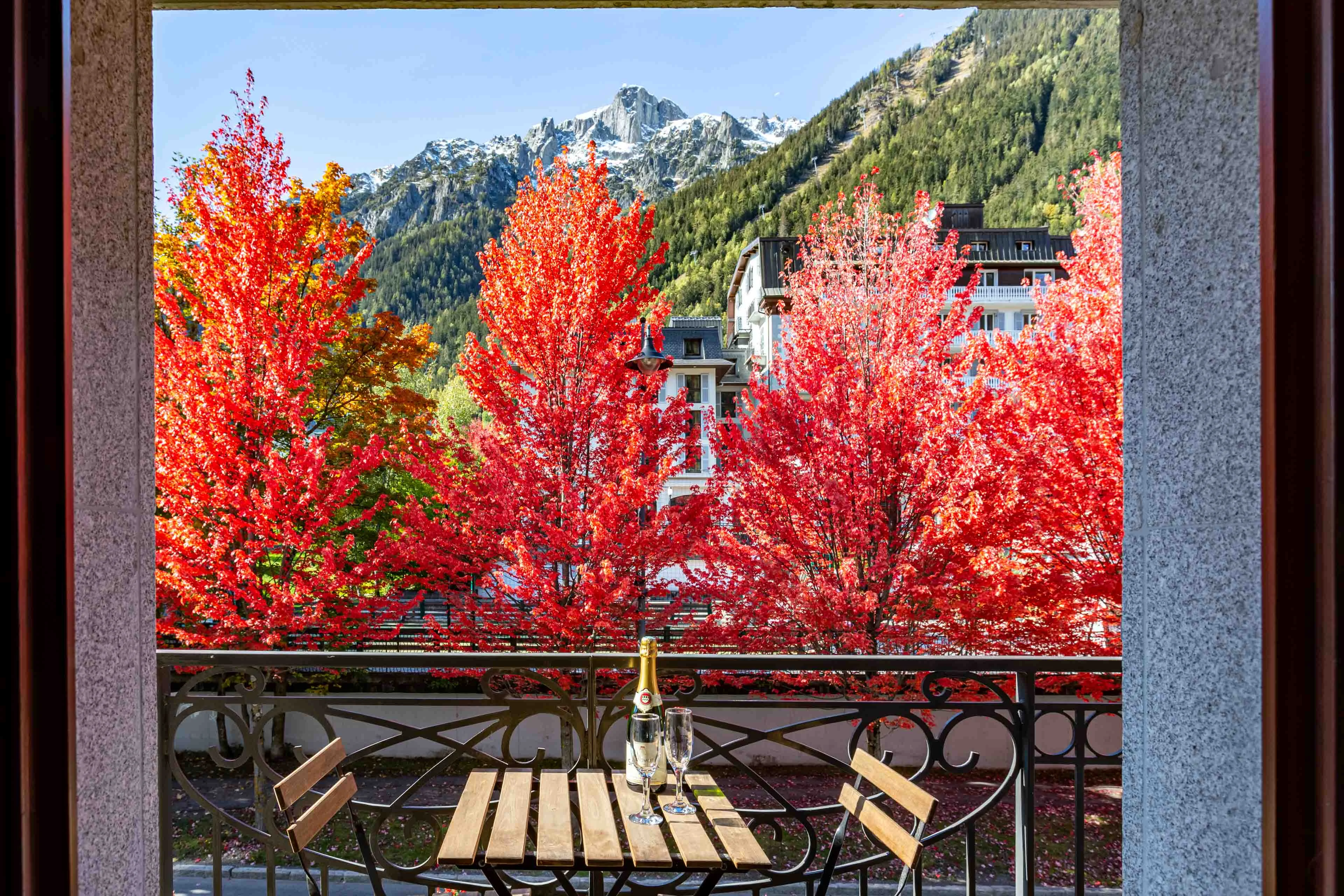 Arbres en automne devant le Paradis 25