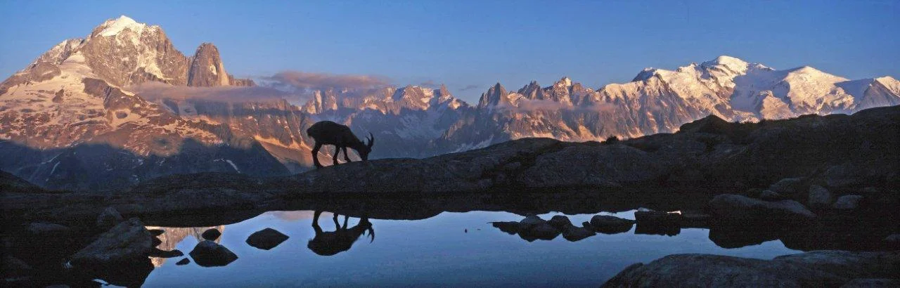 points de vue de Chamonix