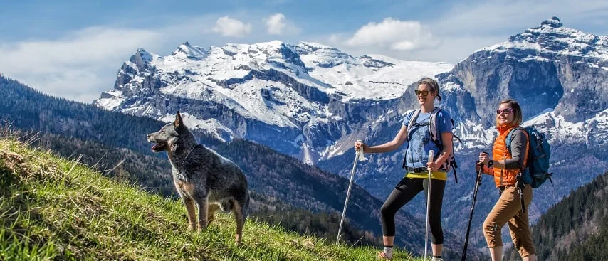 Les meilleurs moments de l’année pour visiter Chamonix