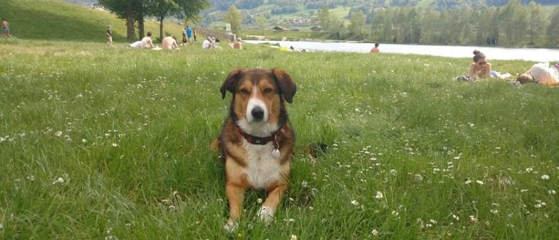 passy-lake-2-854x367