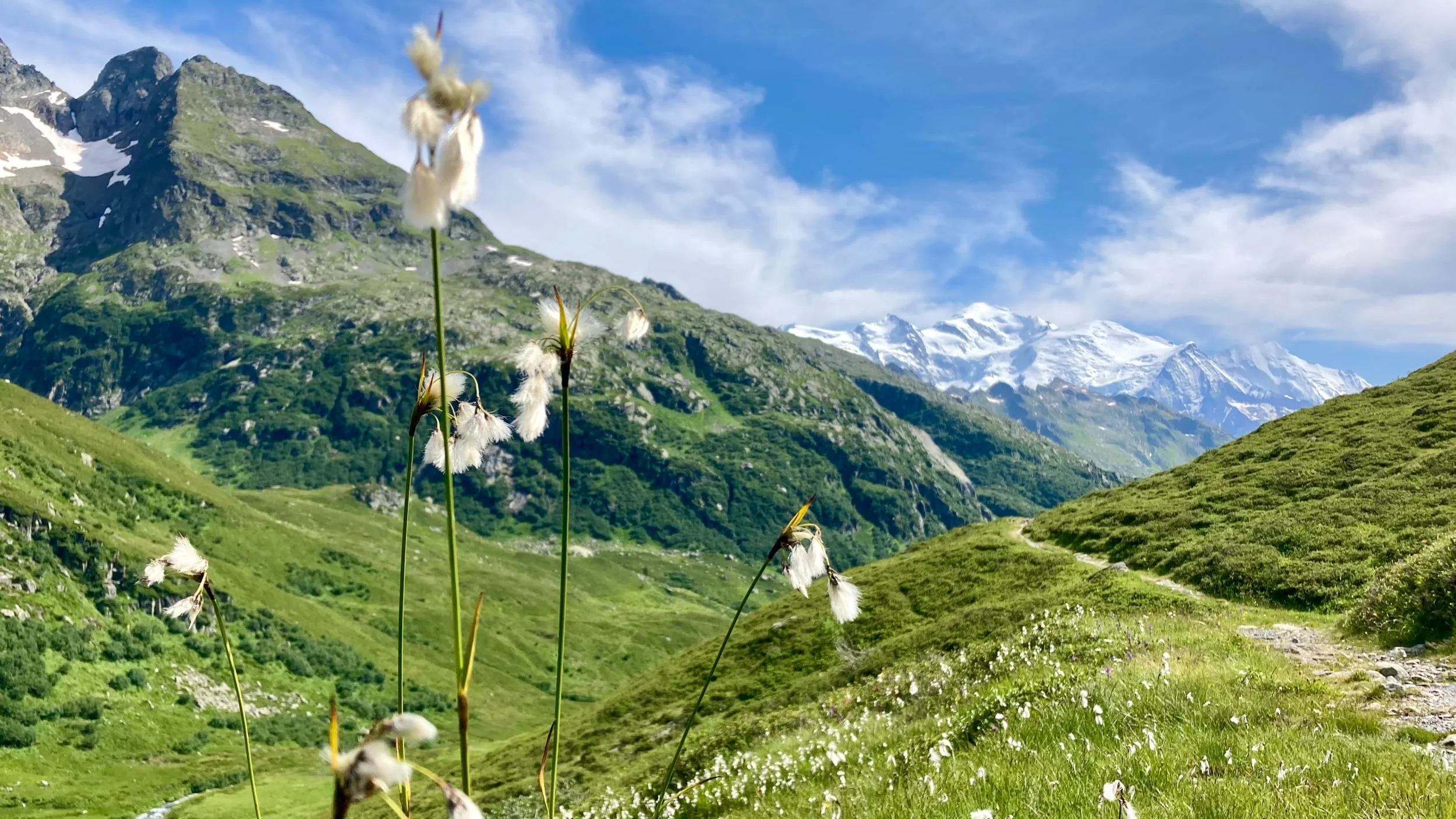 Trail Running in Chamonix: Handpicked Routes