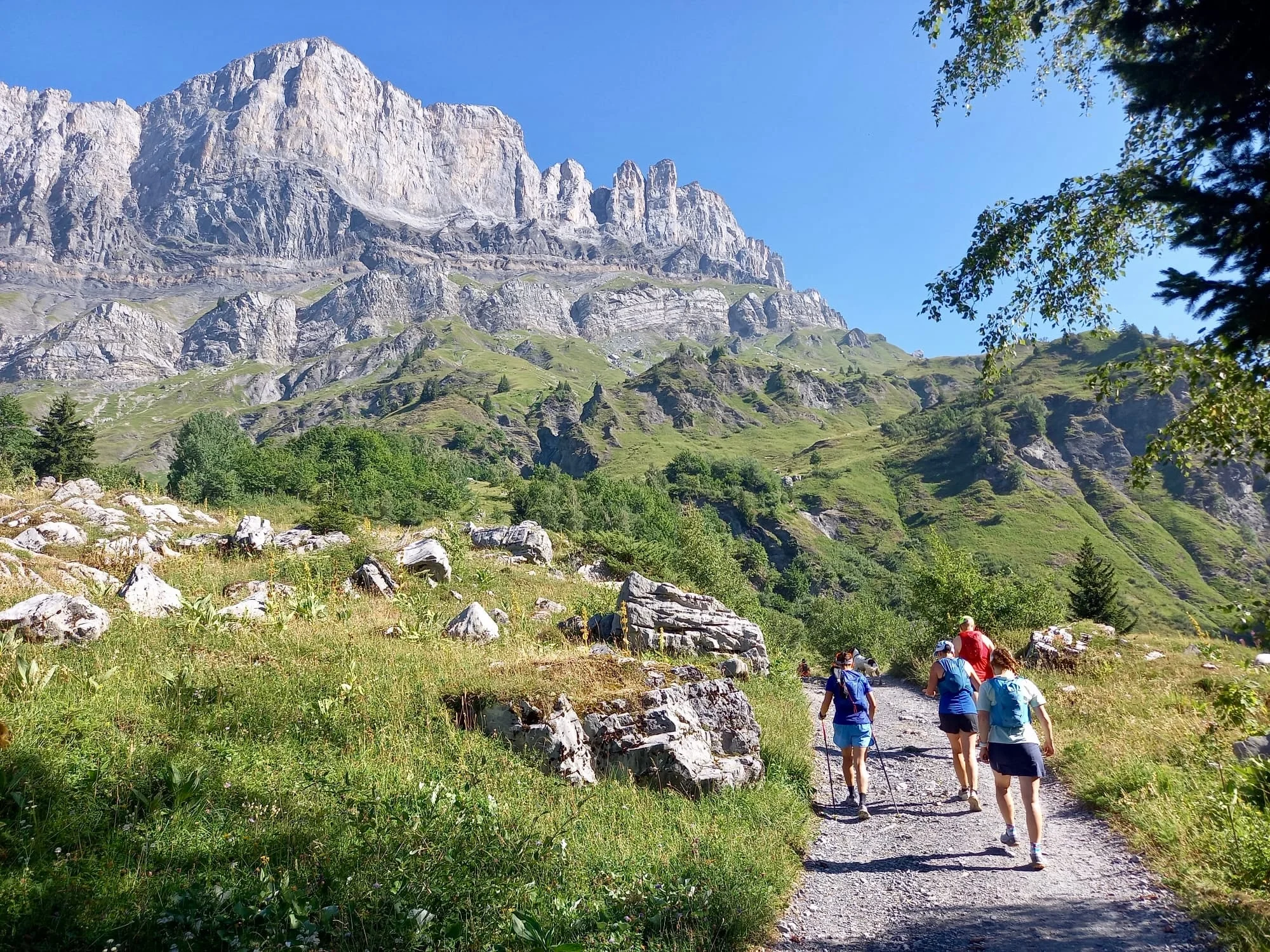 Trail running à Chamonix : un paradis pour les coureurs