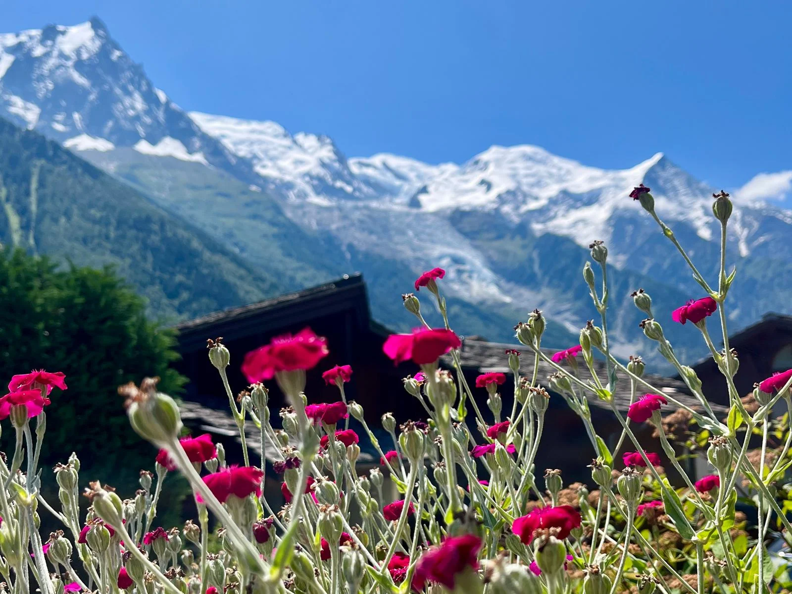 Que faire à Chamonix en été ?