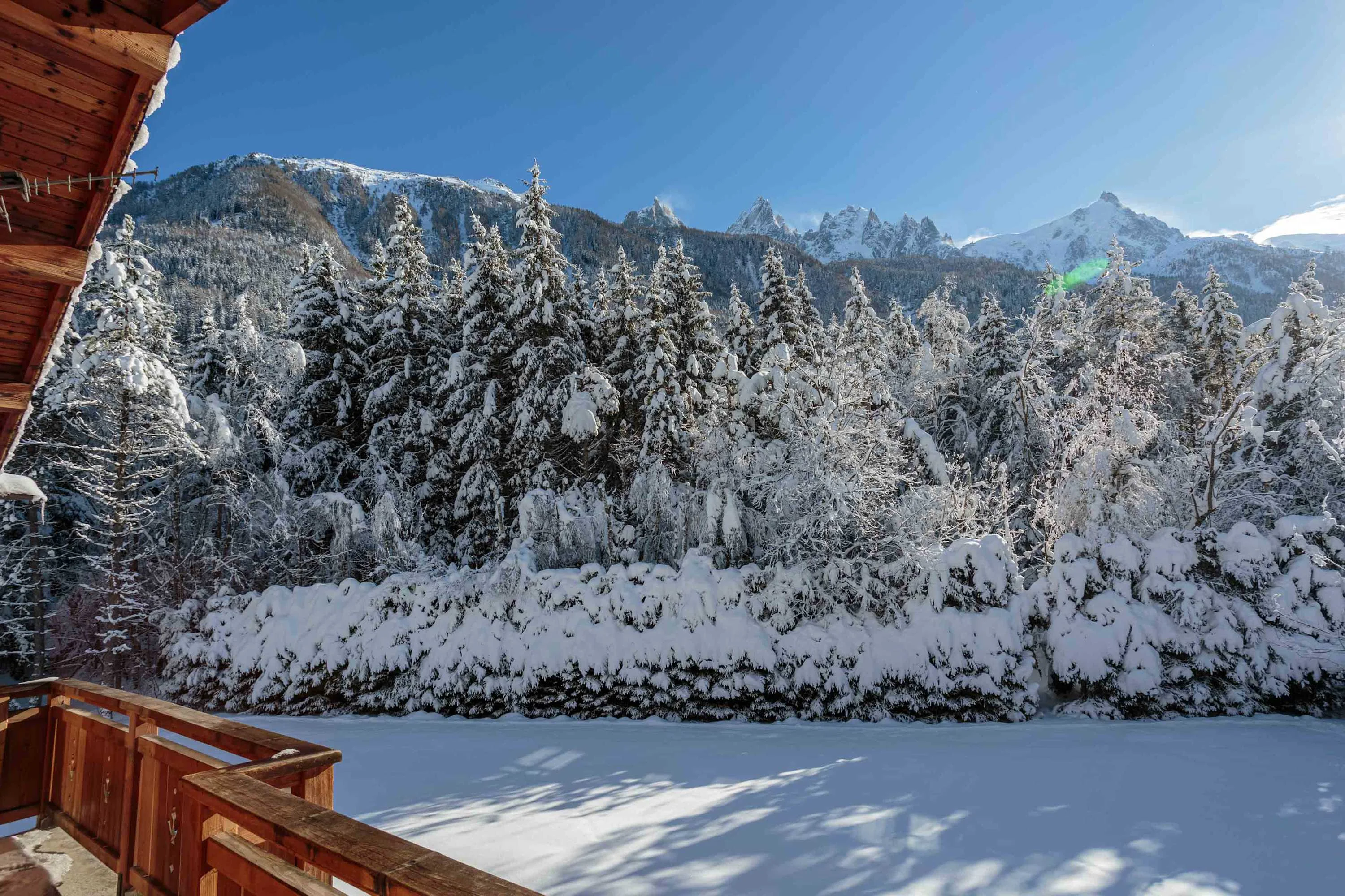 View of the garden and mountains from the chalet